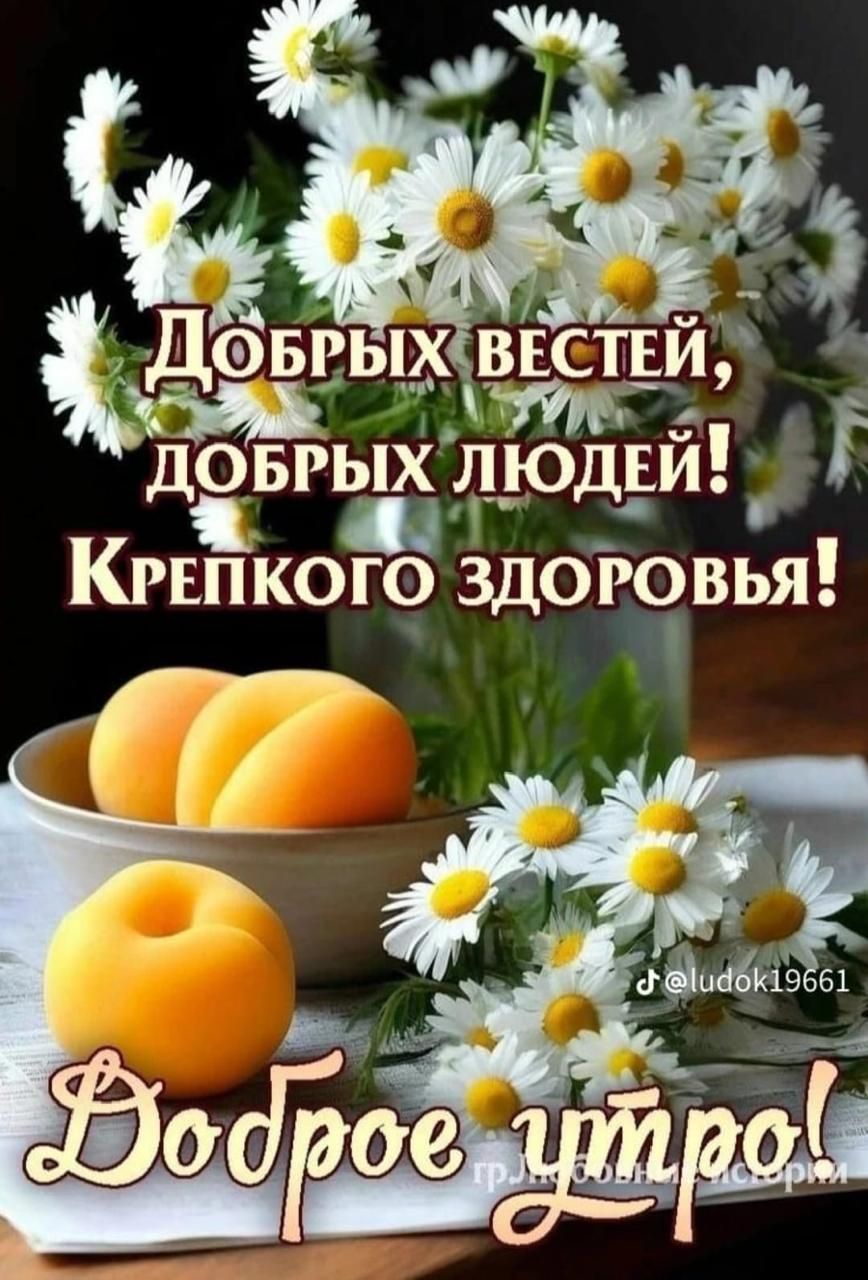 г в ча в В ж х_ ыы ю ЗЕ8 8 СтЫеЦ та я УЙО 2 ы 6