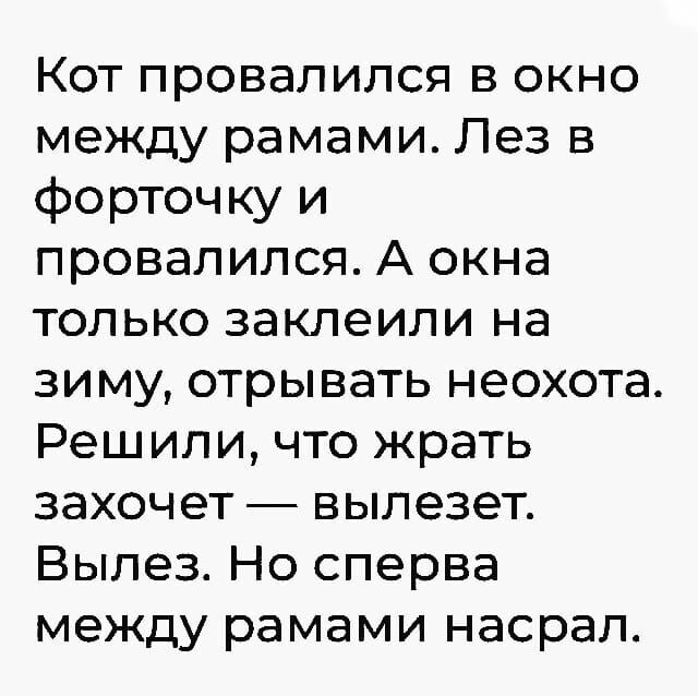 Кот провалился в окно между рамами Лез в форточку и провалился А окна только заклеили на зиму отрывать неохота Решили что жрать захочет вылезет Вылез Но сперва между рамами насрал