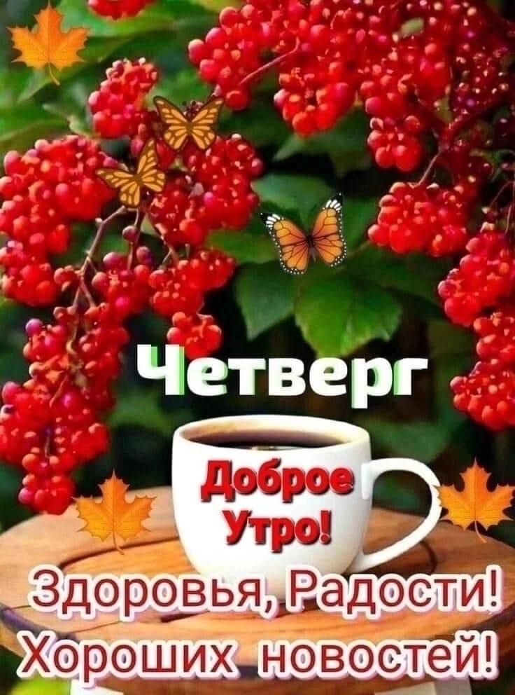 е ы У ое Р Й ёч мо _ Р Й Ха Ё оь йо 4 эа ХОроших новостеи