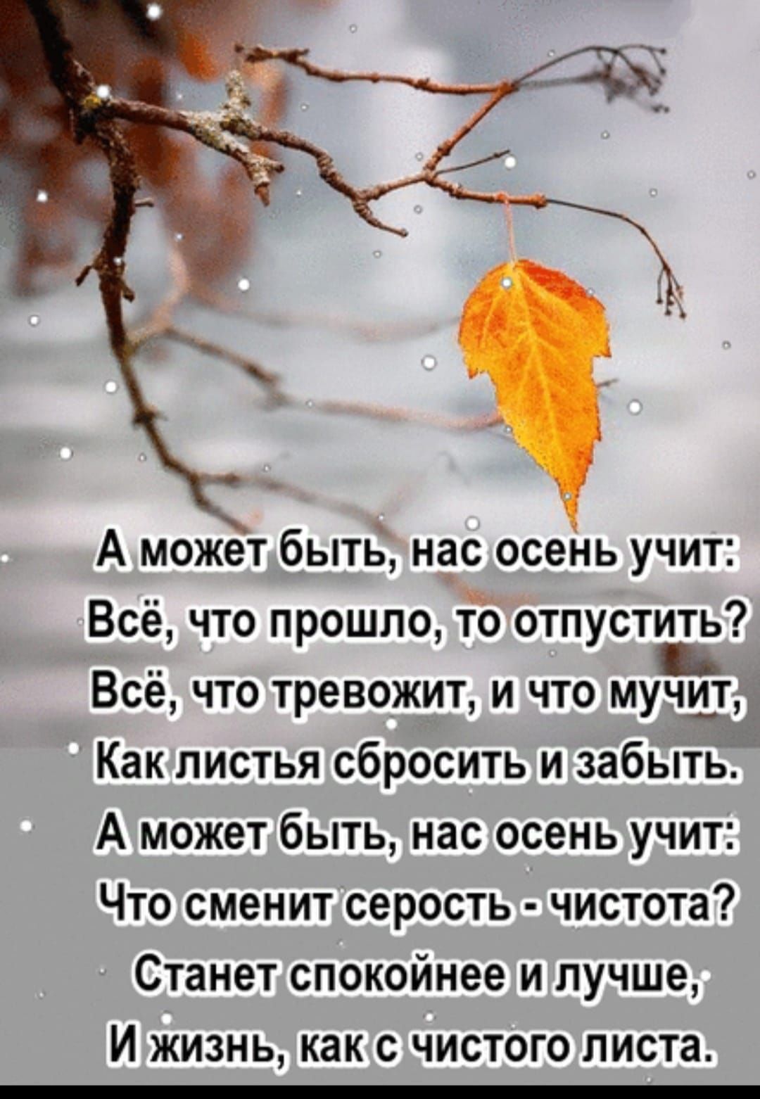 А можетбытьлнас осень учит Всё что прошло то отпустить Всё что тревожит и что мучи_т Какллистья сбросить и забыть А можетбыть нас осень учит Что сменитсерость чистота Станетспокойнее и лучше И жизнь как счистого листа