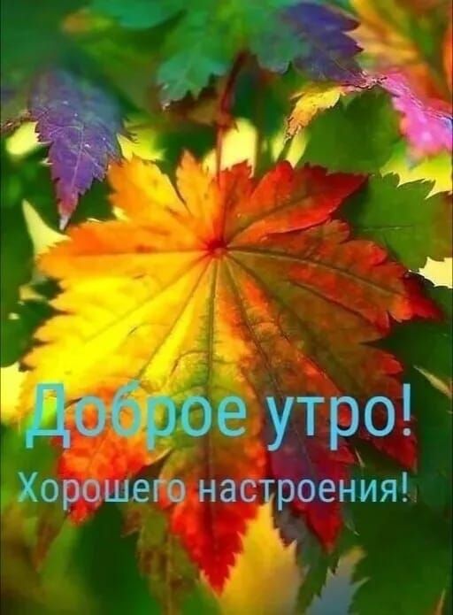 я Г ф йб 4я э ь ъ доброе утро Хорошето настроения Й