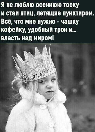 Я не люблю осеннюю тоску и стаи птиц летящие пунктиром Всё что мне нужно чашку кофейку удобный трон и власть над миром