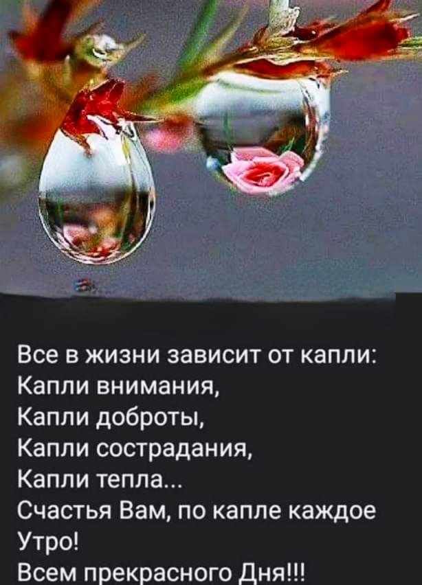 Все в жизни зависит от капли Капли внимания Капли доброты Капли сострадания Капли тепла Счастья Вам по капле каждое Утро Всем прекрасного Дня