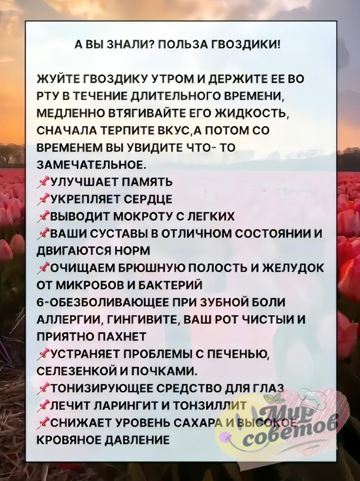 АВЫ ЗНАЛИ ПОЛЬЗА ГВОЗДИКИ ЖУЙТЕ ГВОЗДИКУ УТРОМ И ДЕРЖИТЕ ЕЕ ВО РТУ В ТЕЧЕНИЕ ДЛИТЕЛЬНОГО ВРЕМЕНИ МЕДЛЕННО ВТЯГИВАЙТЕ ЕГО ЖИДКОСТЬ СНАЧАЛА ТЕРПИТЕ ВКУСА ПОТОМ СО ВРЕМЕНЕМ ВЫ УВИДИТЕ ЧТО ТО ЗАМЕЧАТЕЛЬНОЕ ФУЛУЧШАЕТ ПАМЯТЬ ФУКРЕПЛЯЕТ СЕРДЦЕ ВЫВОДИТ МОКРОТУ С ЛЕГКИХ ВАШИ СУСТАВЫ В ОТЛИЧНОМ СОСТОЯНИИ И ДВИГАЮТСЯ НОРМ ОЧИЩАЕМ БРЮШНУЮ ПОЛОСТЬ И ЖЕЛУДОК ОТ 