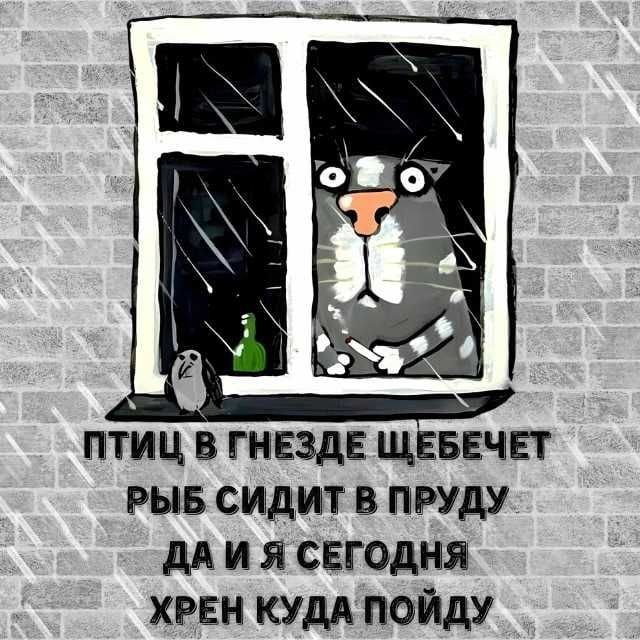 птиц В ГНЕЗДЕ ЩЕБЕЧЕТ РЫБ СИДИТ В ПРУДУ ДАИ Я СЕГОДНЯ ХРЕН КУДА ПОЙДУ