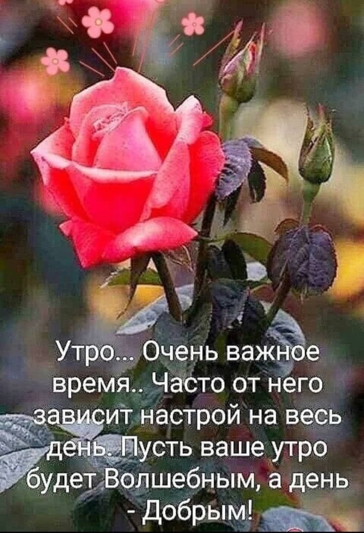 ь время ЧёсТО от него й о8 итнастрой на весь е усть ваше утро буд ет о_дшебным адень Добрым а ш