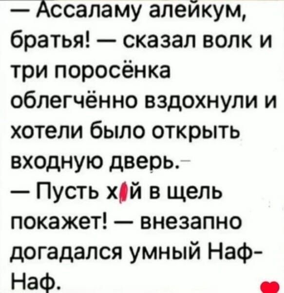 Ассаламу алеикум братья сказал волк и три поросёнка облегчённо вздохнули и хотели было открыть входную дверь Пусть хйй в щель покажет внезапно догадался умный Наф Наф ев