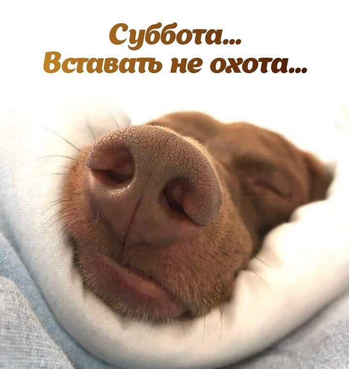 Суббота Вставать не охота