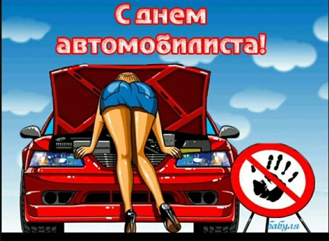 Санем автомобиаиста