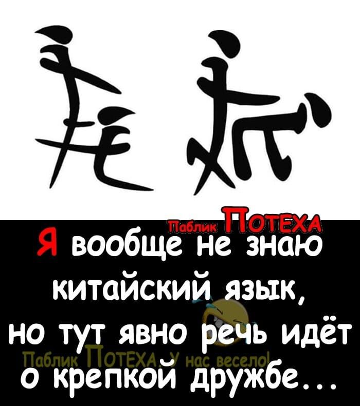 ли ТОТЕХА 9 вообще не знаю китайский_языхк но тут явно речь идёт о крепкой дружбе