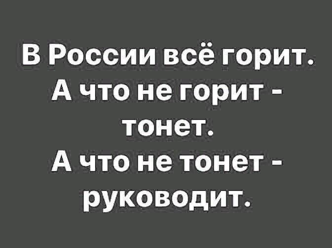 В России всё горит А что не горит тонет А что не тонет руководит