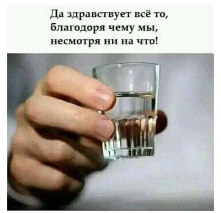 Да здравствует всё то благодоря чему мы несмотря ни на что