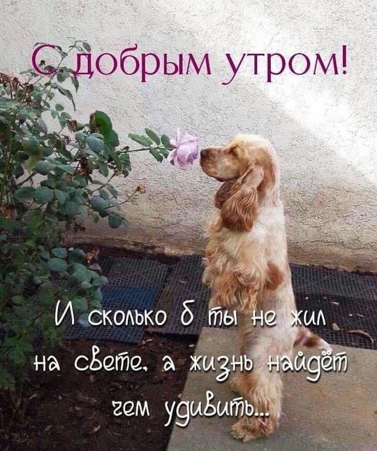 оМ удиВитьну