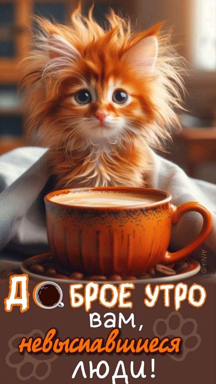 Доброе утро вам, невыспающиеся люди!