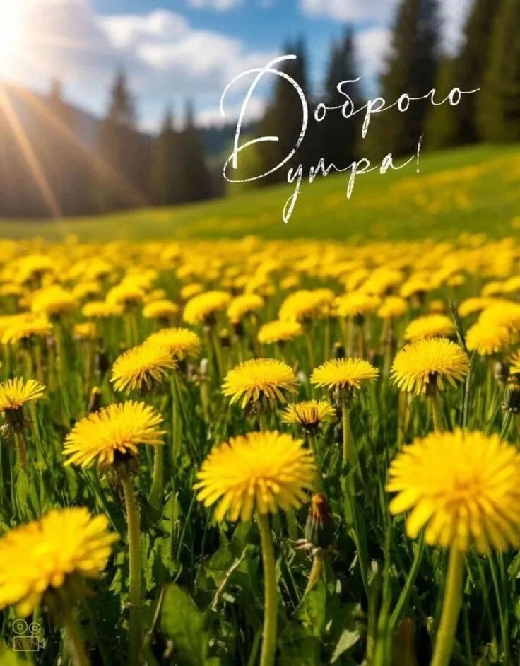 Доброе утро!