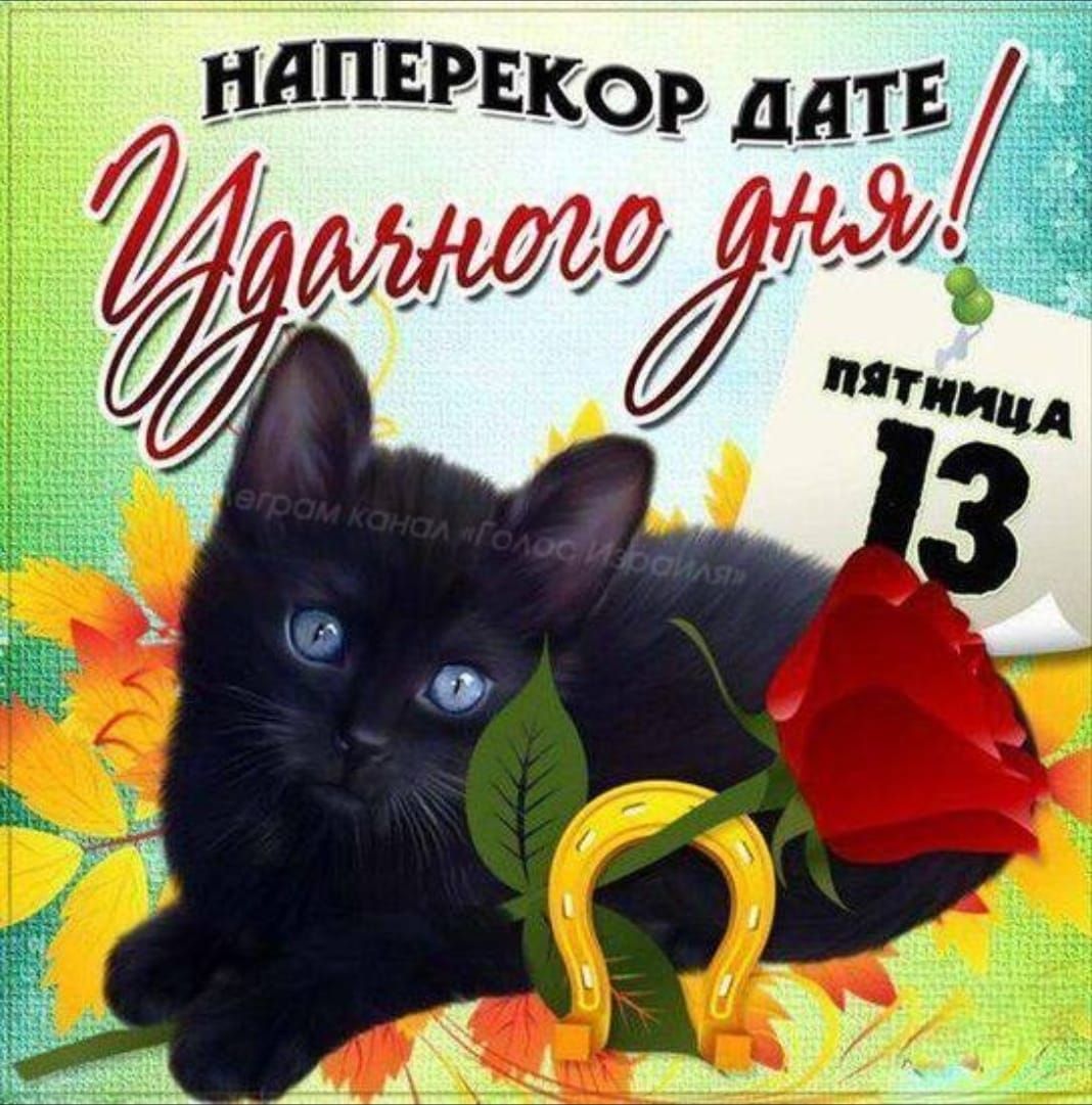 НАПЕРЕКОР ДАТЕ Удачного дня! ПЯТНИЦА 13