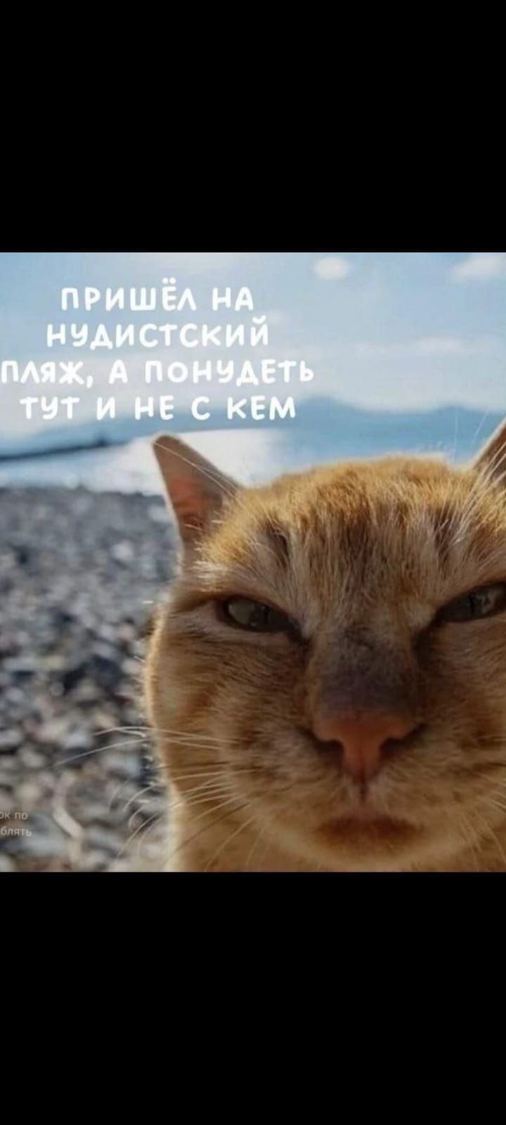 ПРИШЁЛ НА НУДИСТСКИЙ ПЛЯЖ, А ПОНОДЕТЬ ТУТ И НЕ С КЕМ