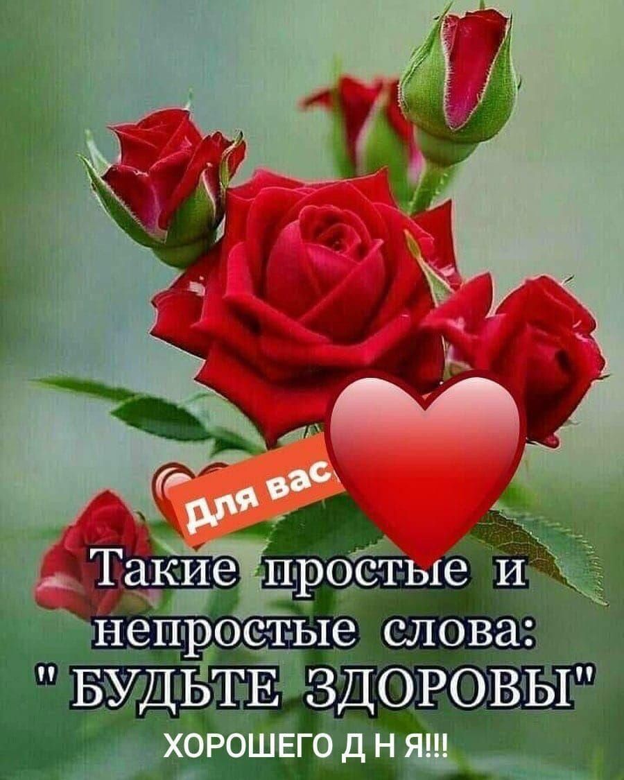 Для вас
Такие простые и непростые слова: 