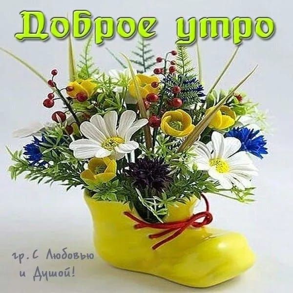 Доброе утро