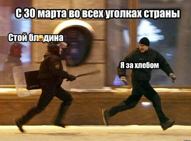 зпЁЁЁЁВЁЁ Щпиак отпаны етой птица _ иза хлебом _ Ё А 3 П __