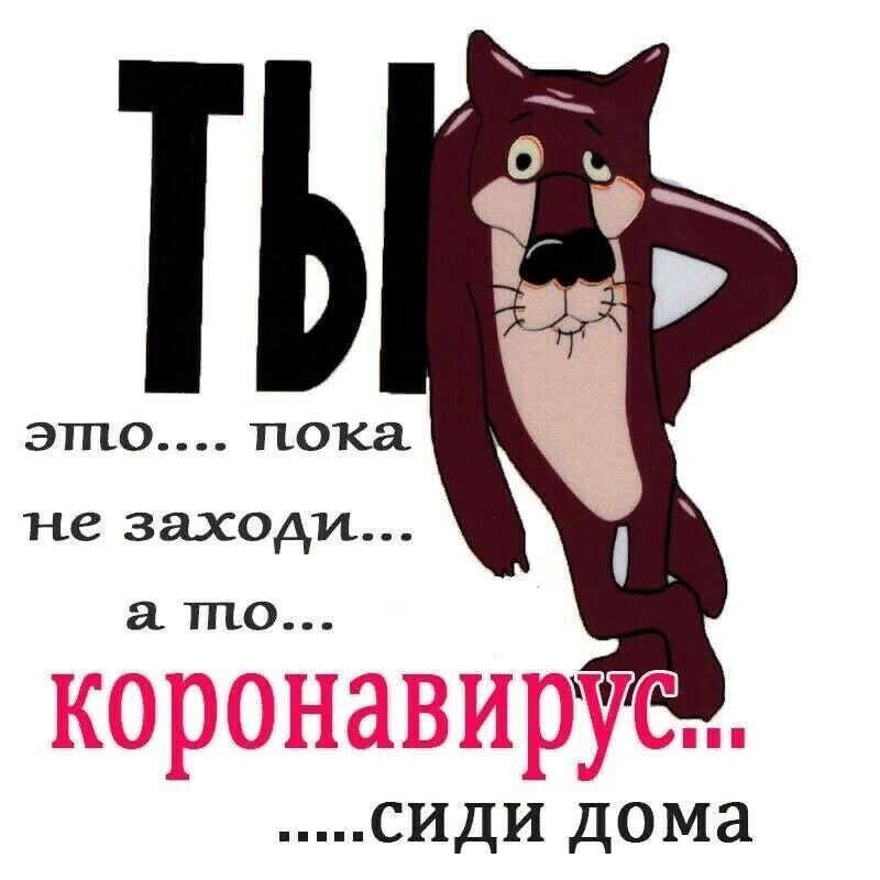 о з в н то сидй дома