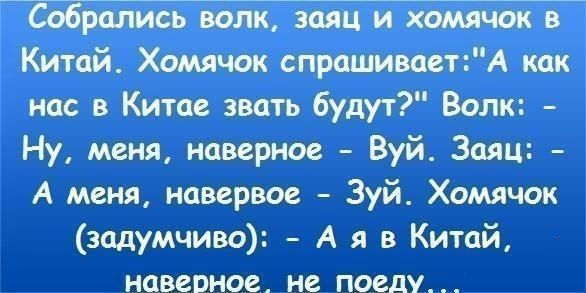 Собрались волк заяц и хомячок в Китай Хомячок спрашиваетА как нас в Китае звать будут Волк Ну меня наверное Вуй Заяц А меня навервое Зуй Хомячок задумчиво А я в Китай наверное не поеду
