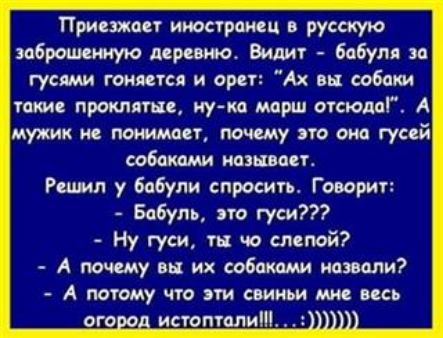 Приезжает имстраиш в русскую заброшенную деревню Вициг _ бабуля за гусями гоняется и орп Ах вы собаки такие проклятые иу ка марш отсюда А мужик не понимает почему это аиа гусей собаками называет Решил у бабули спросить Говорит Бабуль эго гуси Ну гуси ть чо слепой А почему вы их собаками назвали А потому что эти свиньи мне вдсь огород истопгалиЩ