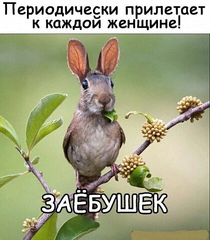 Периодически прилетает к каждои женщине