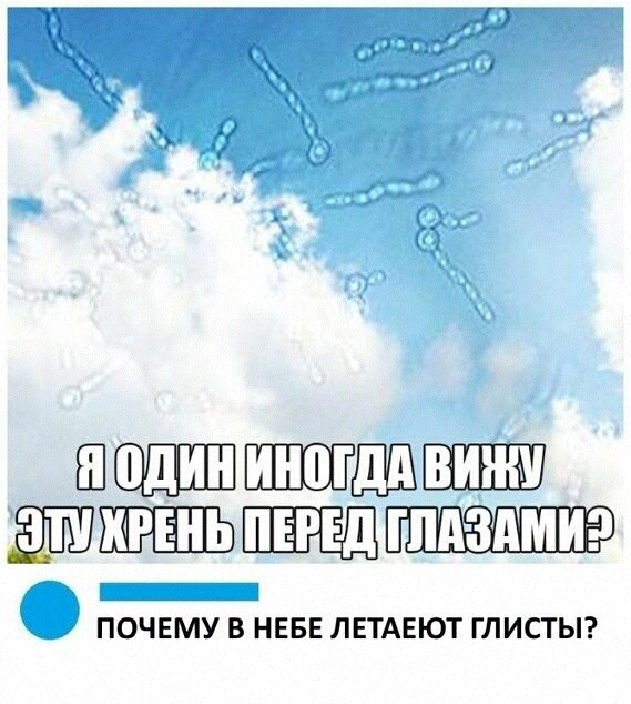 ШШШШШШШ ПОЧЕМУ В НЕБЕ ЛЕТАЕЮТ ГЛИСТЫ