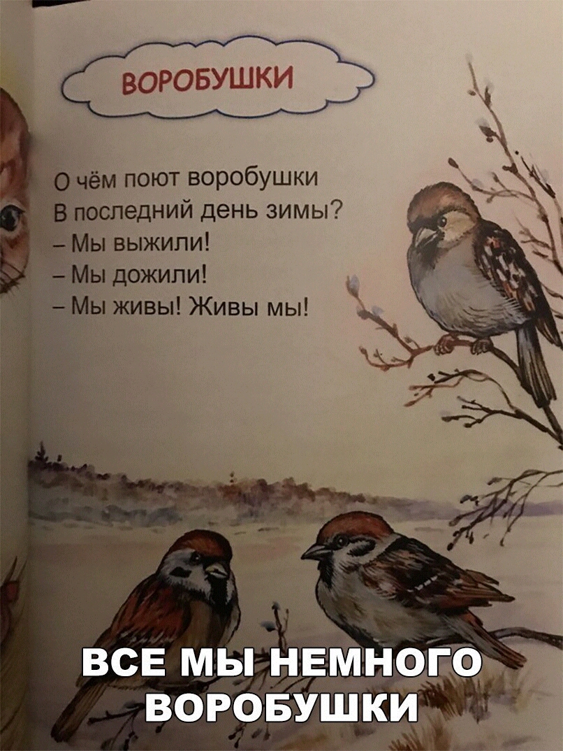 воровушки м поют воробушки оследний день зимы ы выжили в живы Живы мы