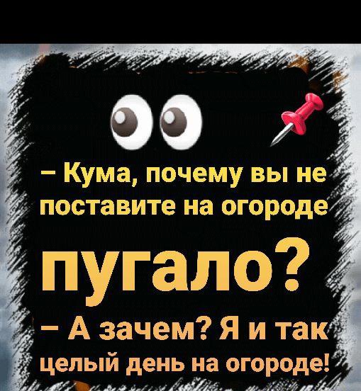 Кума почему вы не поставите на огороде пугало А зачем Я и так