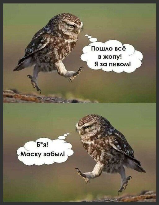 Пошм всё в жопу Я за пивом Маску забыл