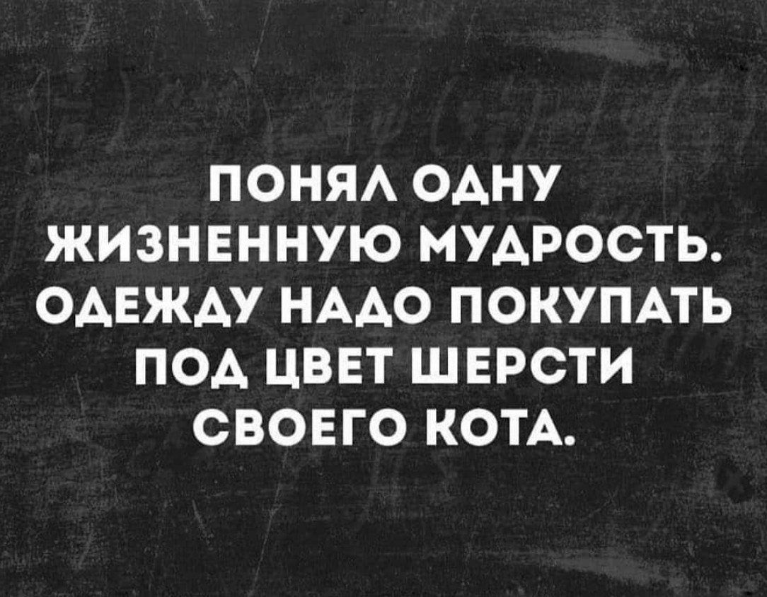 ПОНЯА ОАНУ ЖИЗНЕННУЮ МУДРОСТЬ ОАЕЖАУ НААО ПОКУПАТЬ ПОА ЦВЕТ ШЕРСТИ СВОЕГО КОТА