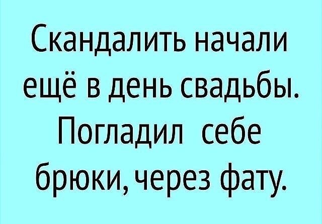 Скандалить начали ещё в день свадьбы Погладил себе брюки через фату