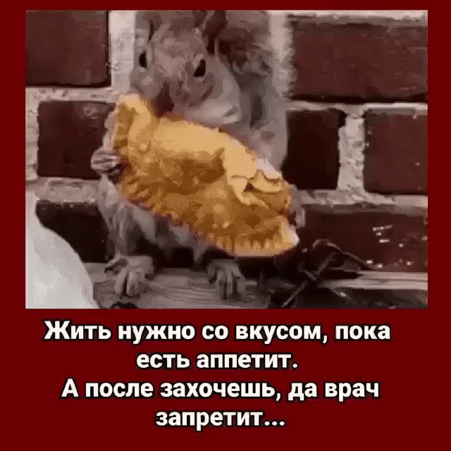 Жить нужно со ВКУСОМ пока есть аппетит А после захочешь да врач запретит