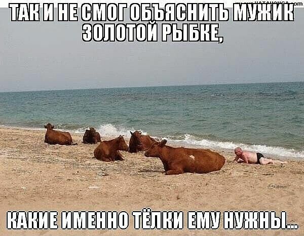 ШШШ ЗЗШПШ ЮШШШПШ ЮНПЁ ШЕШЁЕШШ ЩП