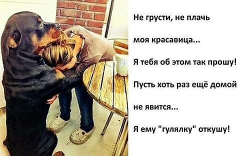 мол красавица я тебя об том 1ак прошу Пусть хоть раз ещё домой не явится я ему гулялиу откушу