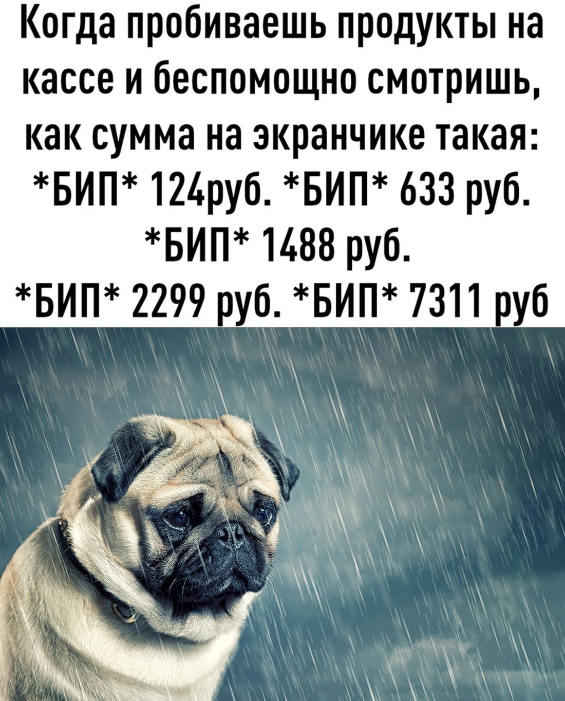 Когда пробиваешь продукты на кассе и беспомощно смотришь КЭК СУММЕ на ЗКРЗНЧИКЕ такая вип 124руб вип 633 руб вип 1488 руб вип 2299 руб вип 7311 руб