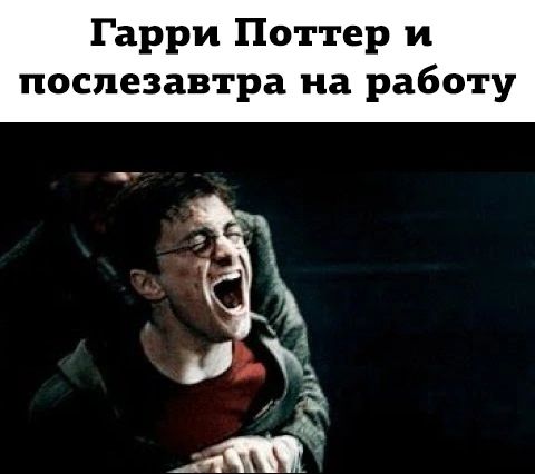 Гарри Поттер и послезавтра на работу И РЮ 43