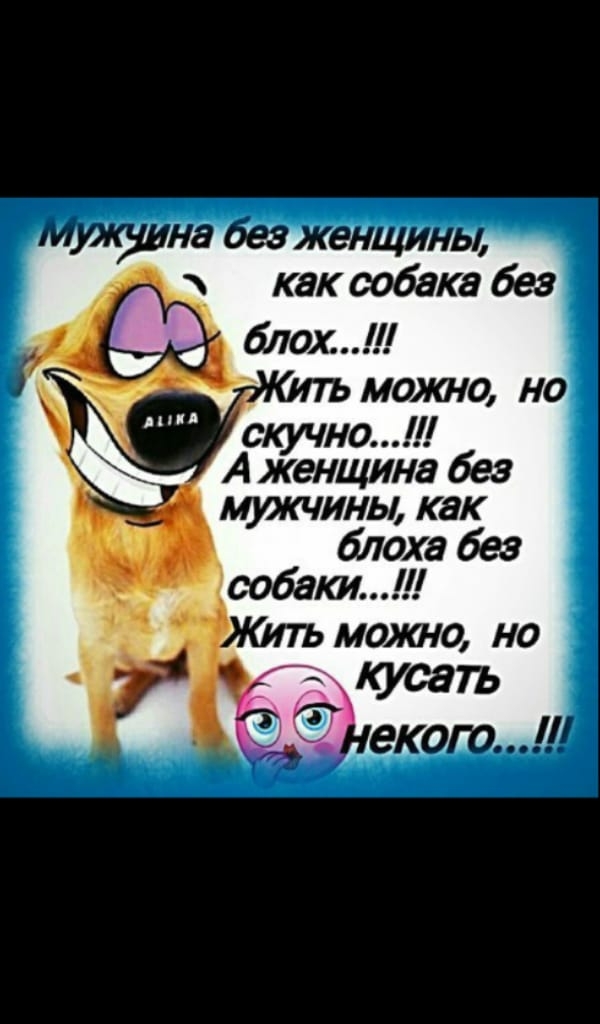 А женщина без мужчины как блоха без