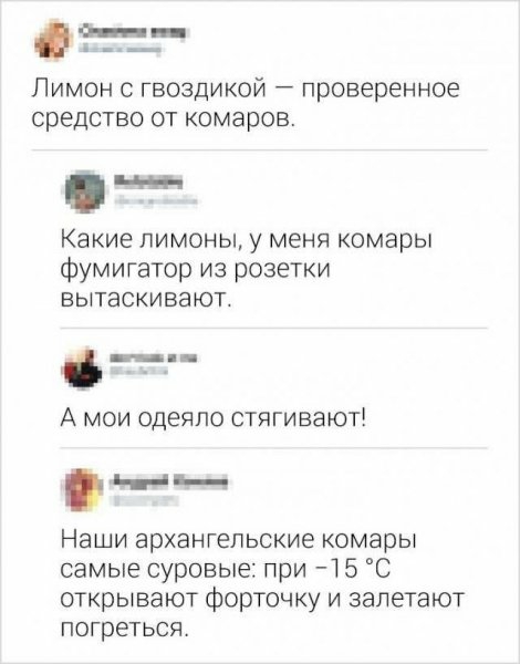 ш д Лимон с гвоздикой проверенное средство от комаров Какие лимоны у меня комары фумигатор из розетки вытаскивают ___ А мои одеяло стягивают Наши архангельские комары самые суровые при 15 С открывают форточку и залетают погреться