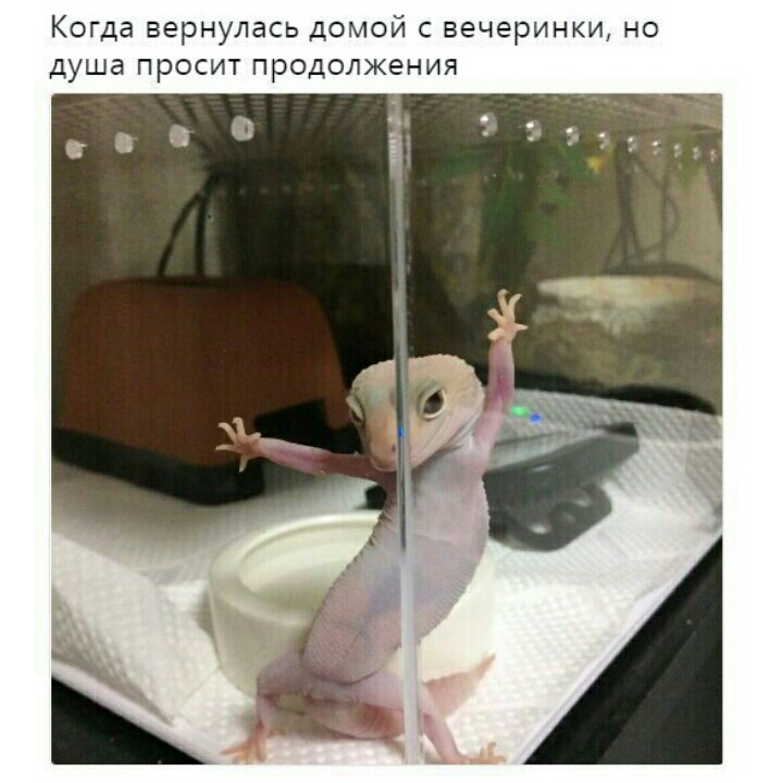 КОГДЭ Вернулась ДОМОЙ С ВЕЧЕРИНКИ НО душа ПРОСИТ ПРОДОЛЖЕНИЯ