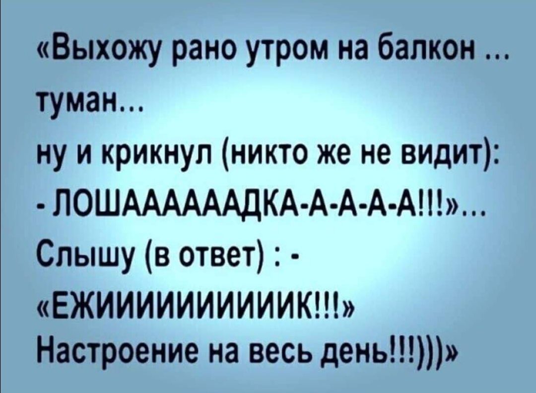 Выхожу рано утром на балкон туман ну и крикнул никто же не видит ПОШААААААДКА АА А А Слышу в ответ ЕЖИИИИИИИИИИК Настроение на весь день