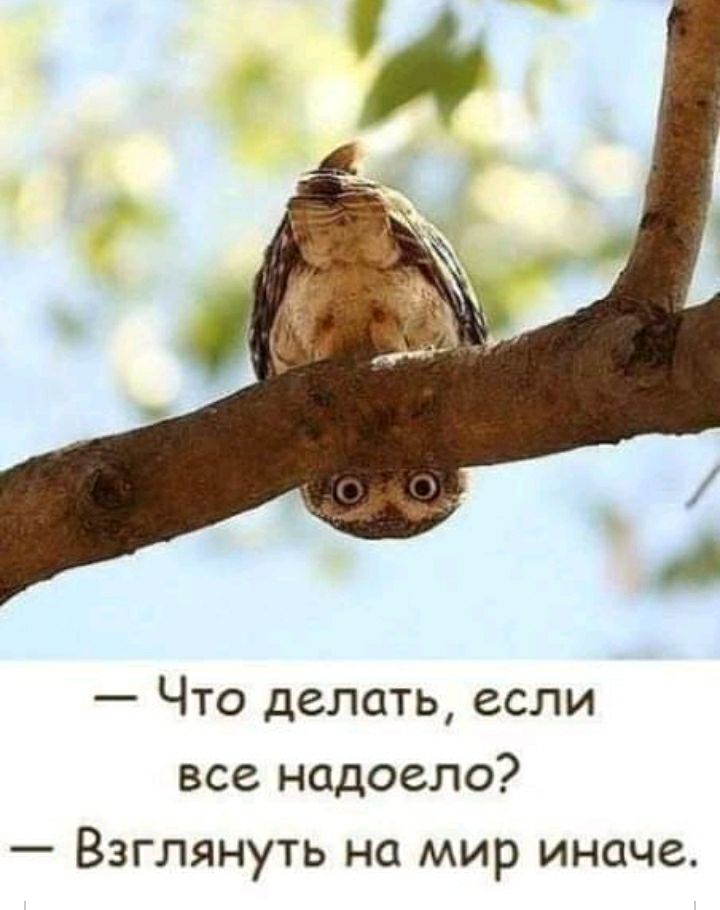 Что делать если все надоело Взглянуть на мир иначе
