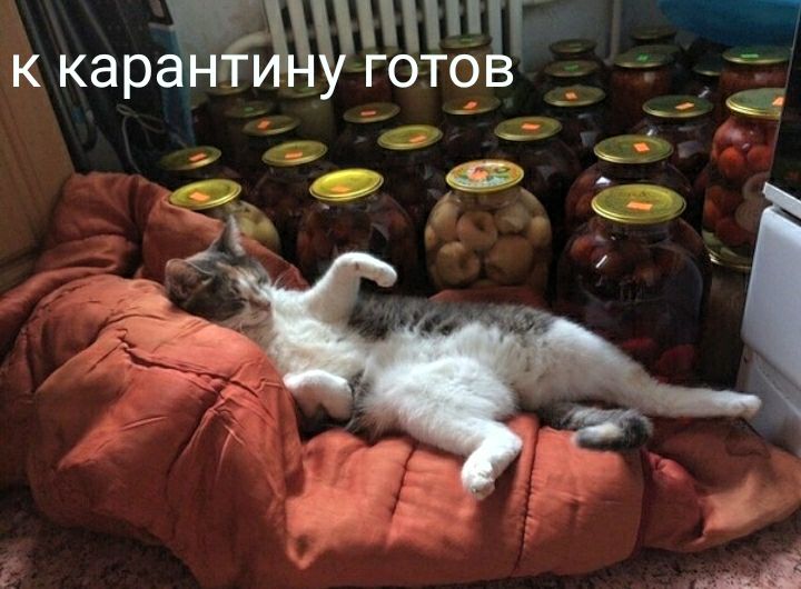 ккаранчгмушщьд