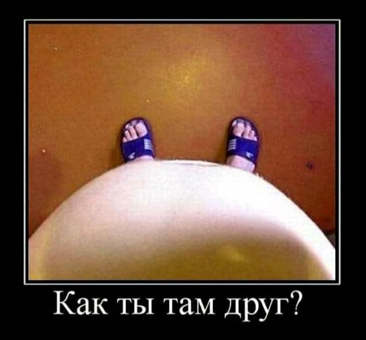 Как ты таМ Друг