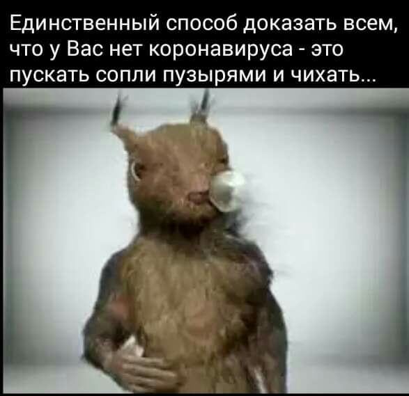 Единственный способ доказать всем что у Вас нет коронавируса это пускать сопли пузырями и чихать