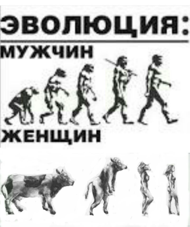 Э__ВОПЮЦИЯ мужчин ЁЁЁЁЖ ЖЕНЩИН Ё