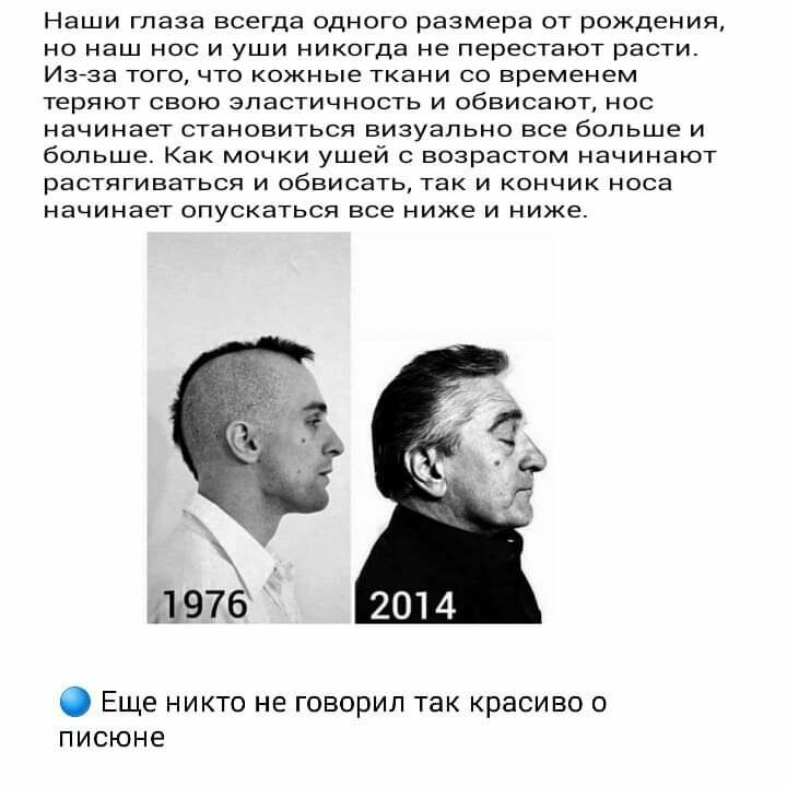 Наши глаза всегда ОДНОГО размера ОТ рождения но наш нос и уши никогда не перестают расти Изйза тогочто кожные ткани со временем теряют свою эластичность и обвисают нос начинает становиться визуально все больше и больше Как мочки ушей с возрастом начинают раСТЯГиваться и обвисать так и кончик носа начинает опускаться все ниже и ниже Еще никто не говорил так красиво 0 писюне