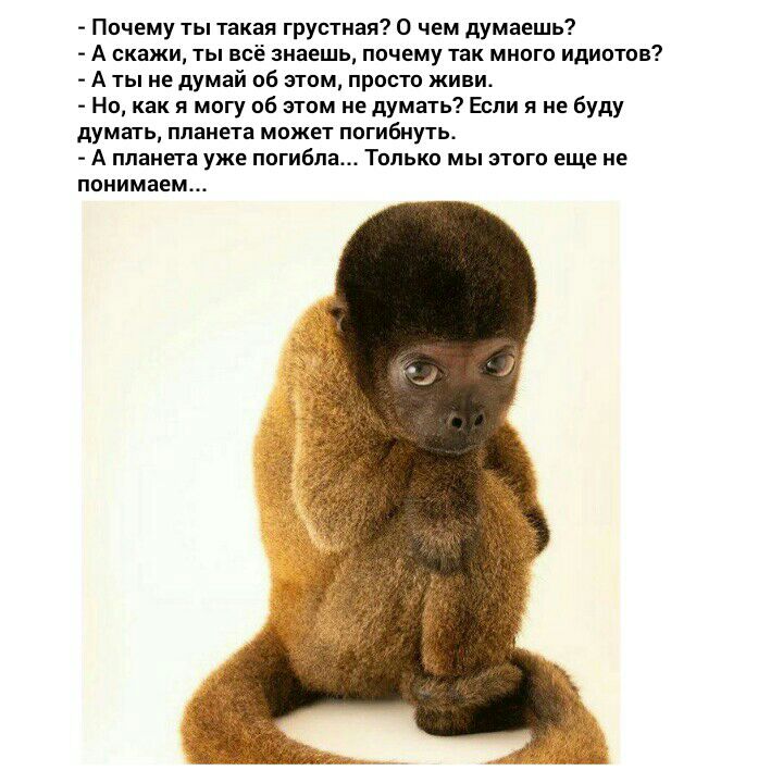 Почему ты такая грустная 0 чем думаешь А скажи ты все знаешь почему так много идиотов А ты не думай об этом просто живи Но как я могу об этом не думать Если я не буду думать планета может погибнуть А планета уже погибла Только мы этого еще не понимаем